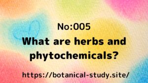 What are herbs and phytochemicals?＠botanical-study.site