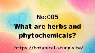 ５:Herbs and phytochemicals taught by C. Jasmine Rurichira and Assistant Geranium