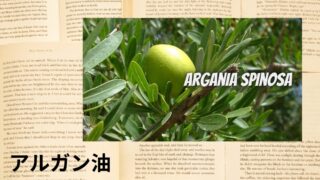 Argan Oil:Mini Dictionary アルガン油