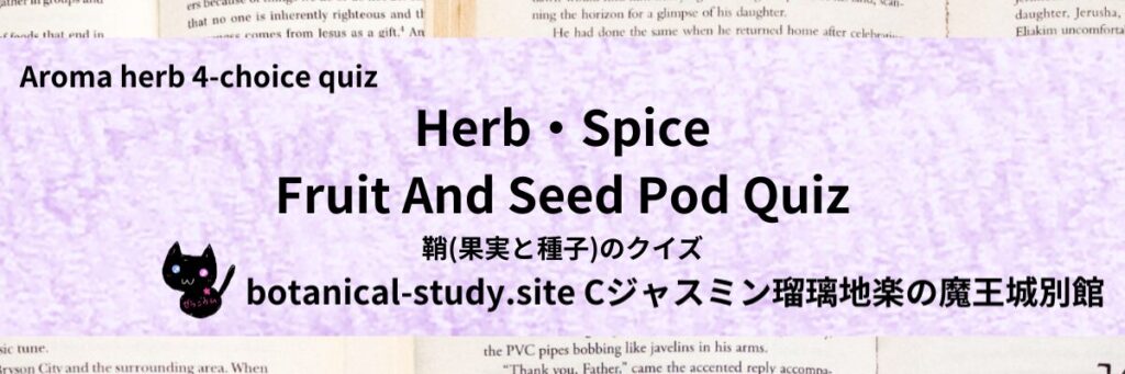 Quiz on Aromatic Classifications of Herb・Spice fruit and seed pod ハーブ・スパイスの鞘(果実と種子)のクイズ-botanical-study-site-gCJ.jpg