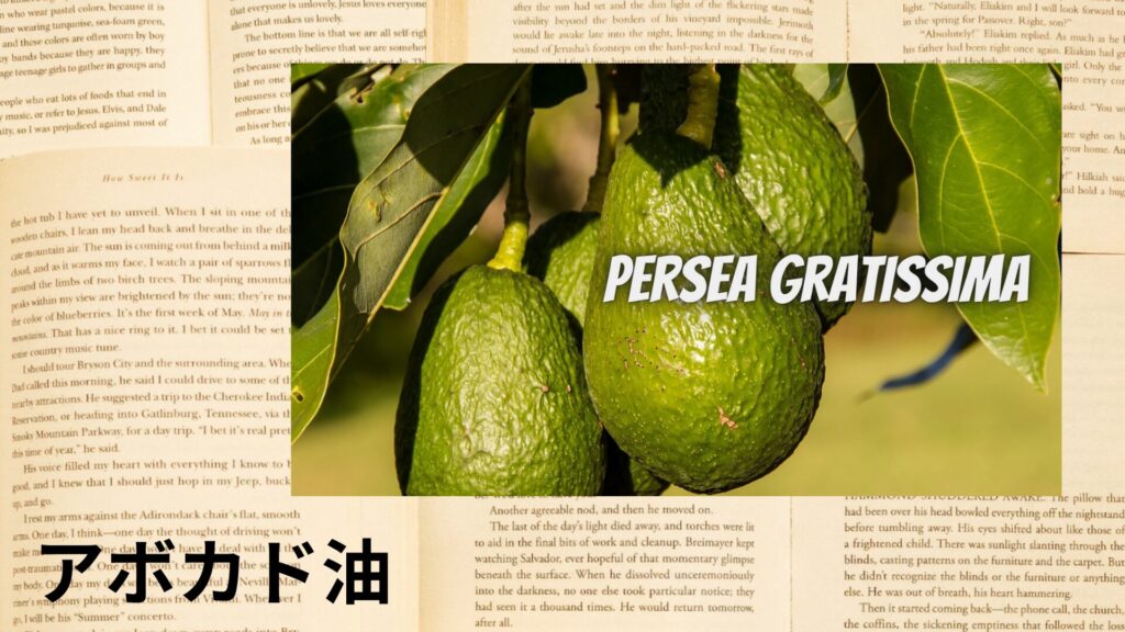 【別館画像】avocado-oil-アボカド油のアロマハーブプチ辞典クイズ用アイキャッチ@botanical-study.site