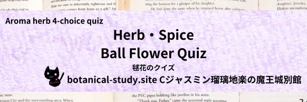 Quiz on Aromatic Classifications of Herb・Spice ball flower ハーブ・スパイスの毬花のクイズ-botanical-study-site-gCJ.jpg