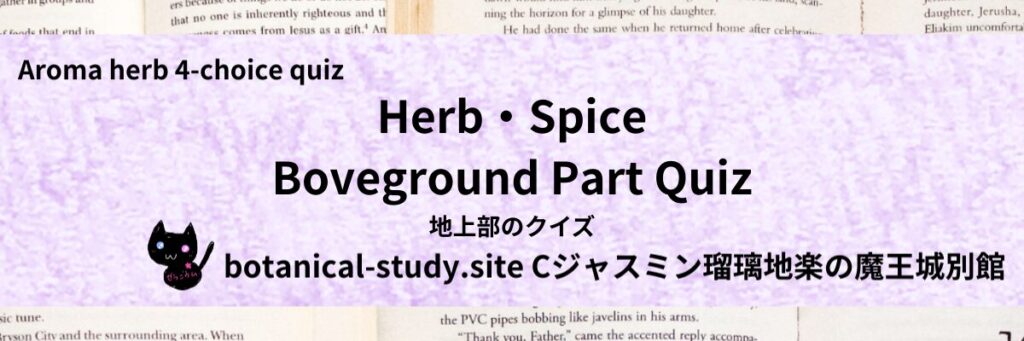 Quiz on Aromatic Classifications of Herb・Spice boveground part ハーブ・スパイスの地上部のクイズ-botanical-study-site-gCJ.jpg