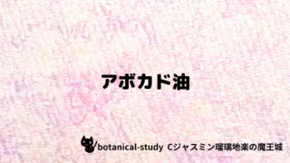 アボカド油：プチ辞典クイズ