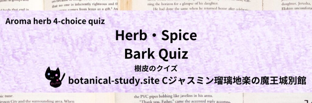 Quiz on Aromatic Classifications of Herb・Spice bark ハーブ・スパイスの樹皮のクイズ-botanical-study-site-gCJ.jpg