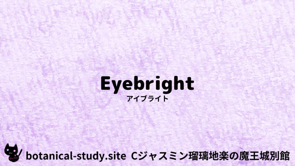 eyebright-アイブライトのアロマハーブプチ辞典クイズ用アイキャッチ＠botanical-study.site