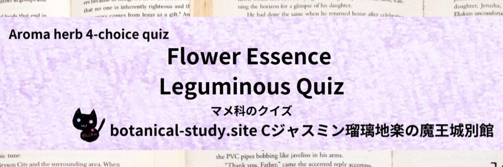 Quiz on Aromatic Classifications of Flower Essence leguminous フラワーエッセンスのマメ科のクイズ@botanical-study.site