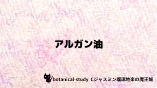 アルガン油:プチ辞典クイズ