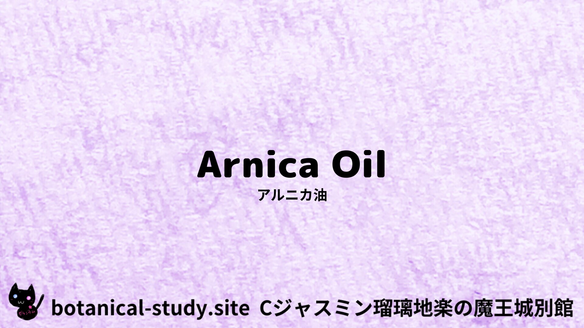【別館】arnica-oil-angustifolia-アルニカ油のアロマハーブプチ辞典クイズ用アイキャッチ@botanical-study.site