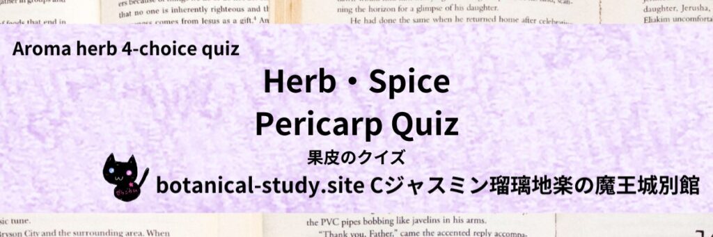Quiz on Aromatic Classifications of Herb・Spice pericarp ハーブ・スパイスの果皮のクイズ-botanical-study-site-gCJ.jpg