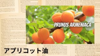 Apricot Oil：Mini Dictionary　アプリコット油