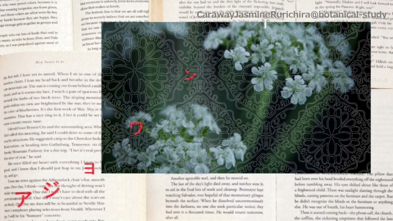 VTuberにおすすめのJIN:Rの設置完全ガイド総合目次@botanical-study.site