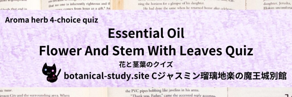 Quiz on Aromatic Classifications of Essential Oils flower and stem with leaves アロマエッセンシャルオイルの花と茎葉のクイズ-botanical-study-site-gCJ.jpg