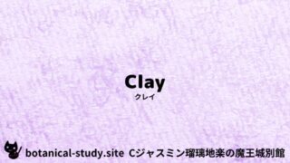 Clay:Mini Dictionary quiz クレイ