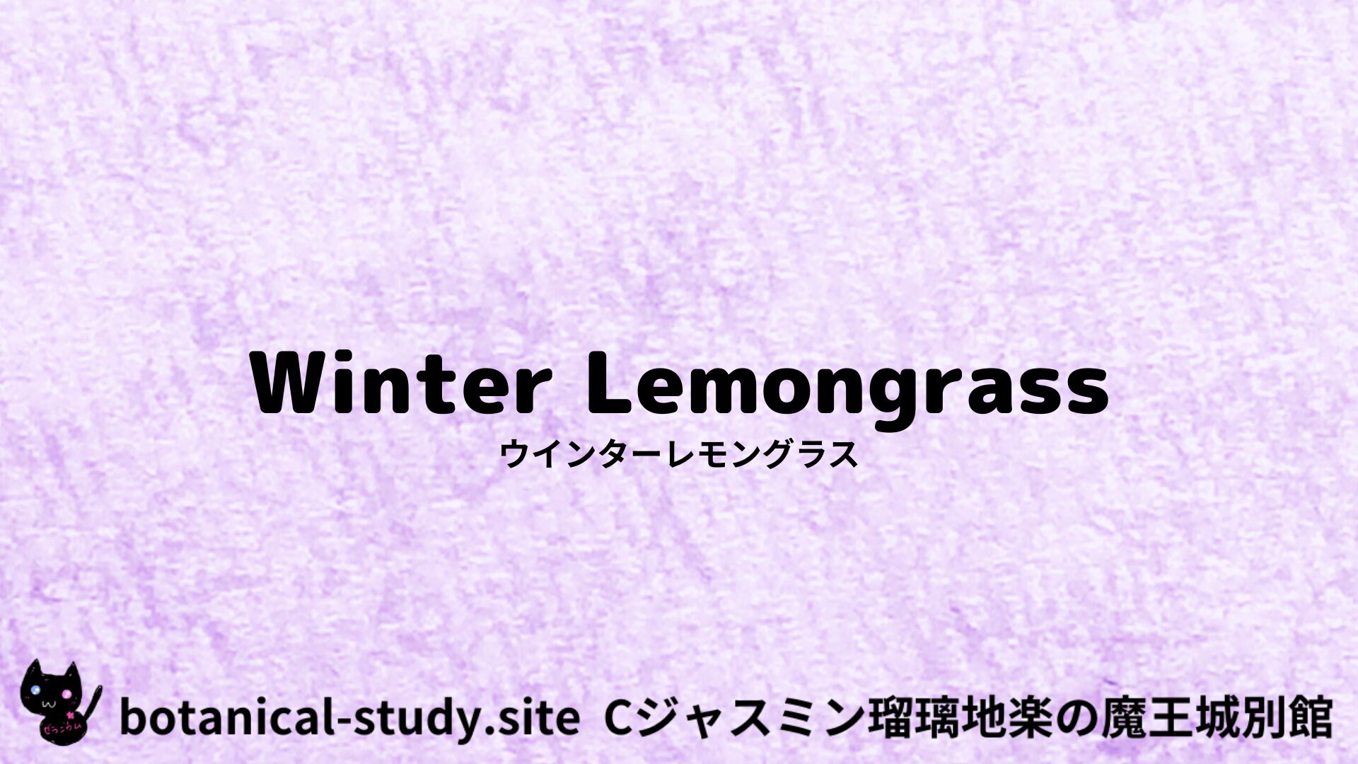 【別館】winter-lemon-ウインターレモングラス/アイキャッチ＠botanical-study.site