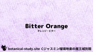 Bitter Orange:Mini Dictionary Quiz オレンジ・ビター