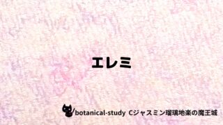 エレミ:プチ辞典クイズ