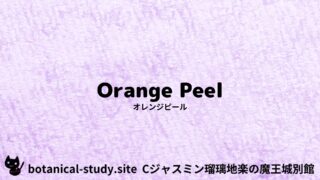 Orange Peel:Mini Dictionary Quiz オレンジピール