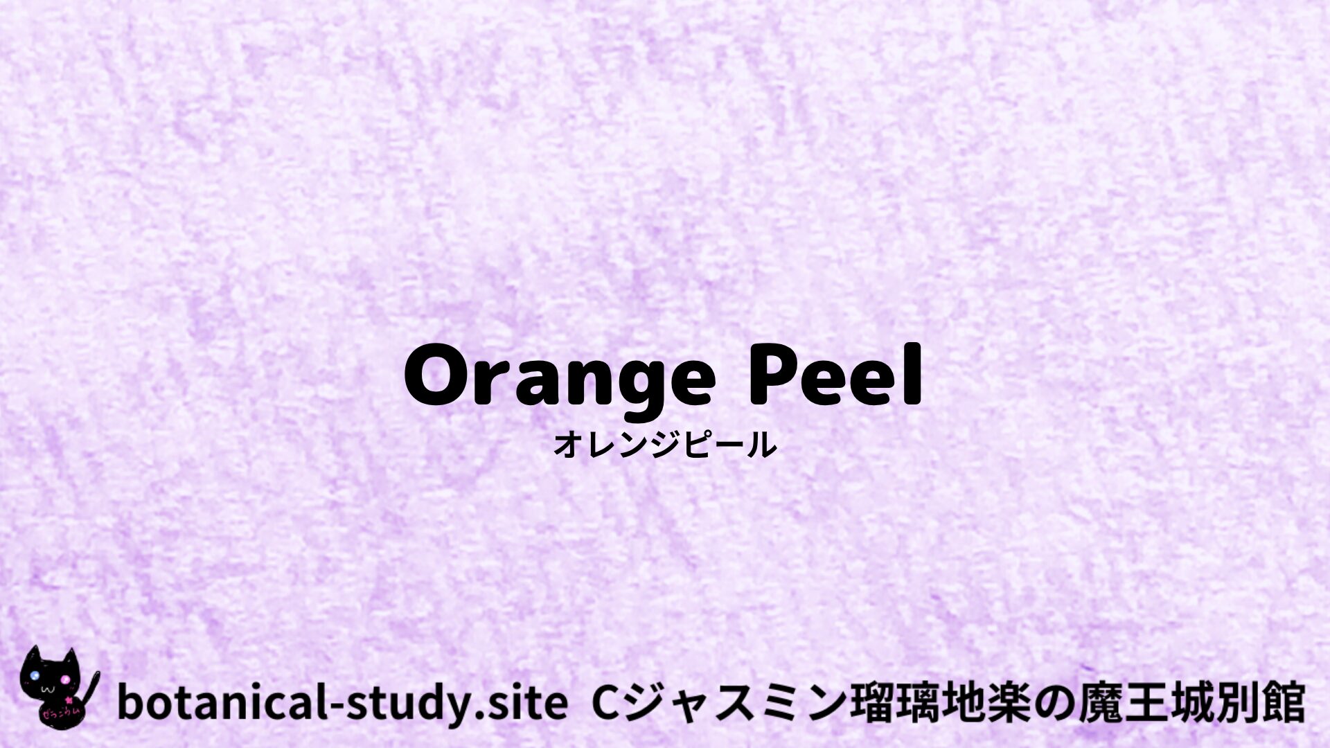 【別館】orange-peel-オレンジピール/ハーブ/アイキャッチ＠botanical-study.site