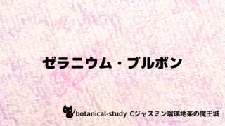 ゼラニウム・ブルボン：プチ辞典クイズ