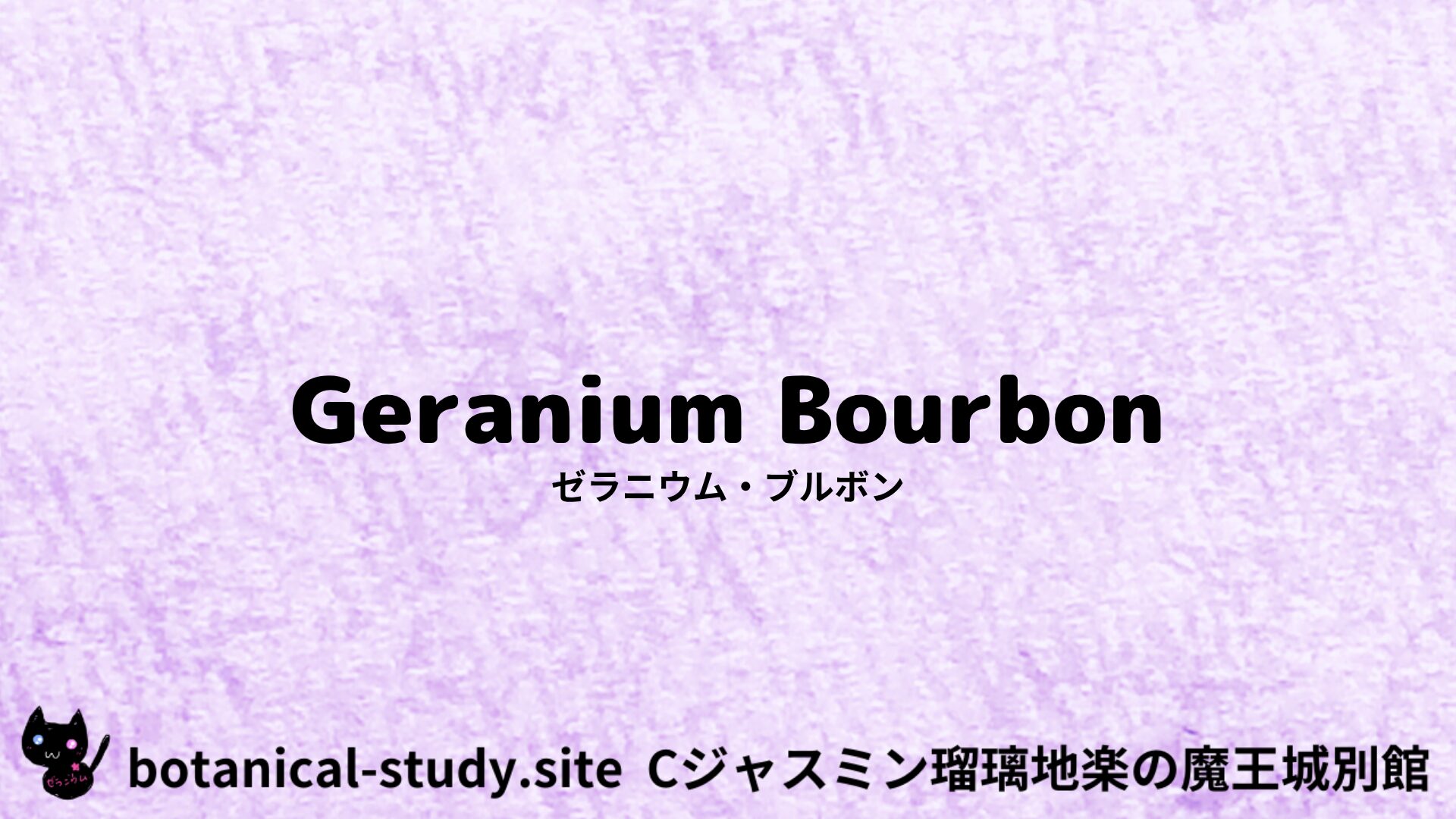 Geranium Bourbon：Mini Dictionary　Quiz　ゼラニウム・ブルボン
