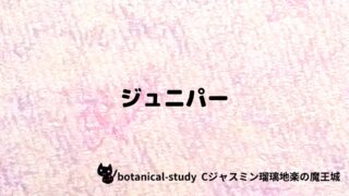 ジュニパー：プチ辞典
