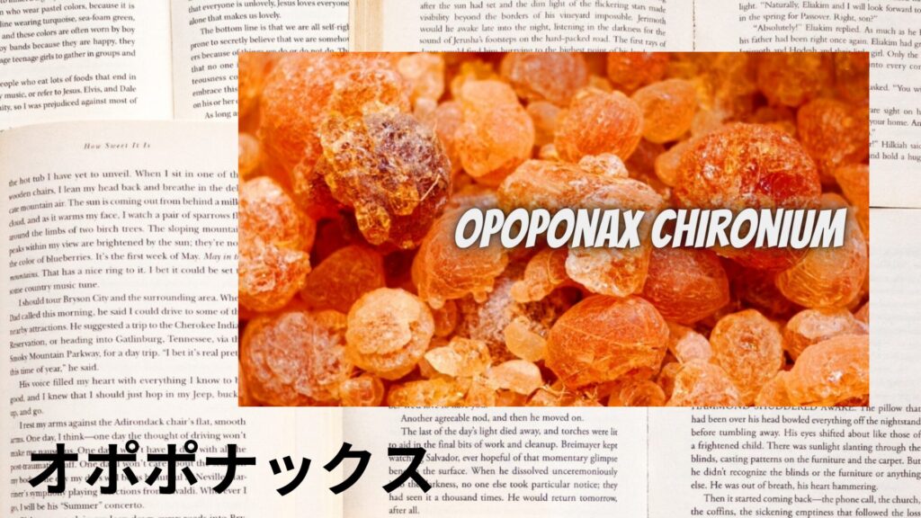 【別館画像】opoponax-オポポナックス/アイキャッチ@botanical-study.site