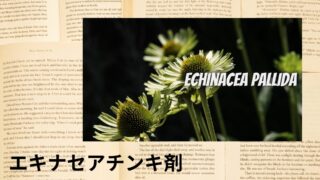Echinacea Tincture:Mini Dictionary エキナセアチンキ剤