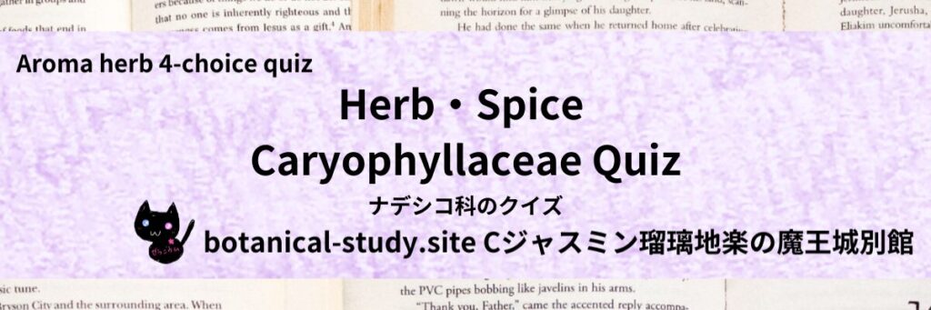 ハーブ・スパイスのナデシコ科のクイズ-botanical-study-site-gCJ.jpg