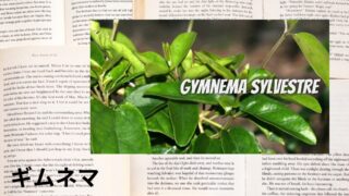 Gymnema：Mini Dictionary　ギムネマ