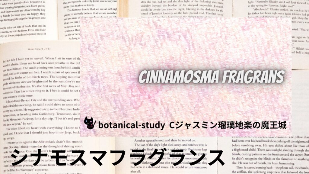 【別館画像】cinnamomum-fragrans-シナモスマ・フラグランス/アイキャッチ＠botanical-study.site