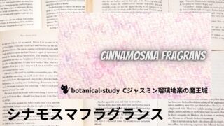 Cinnamosma Fragrans：Mini Dictionary　シナモスマ・フラグランス