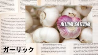 Garlic:Mini Dictionary ガーリック
