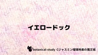 イエロードック:プチ辞典クイズ