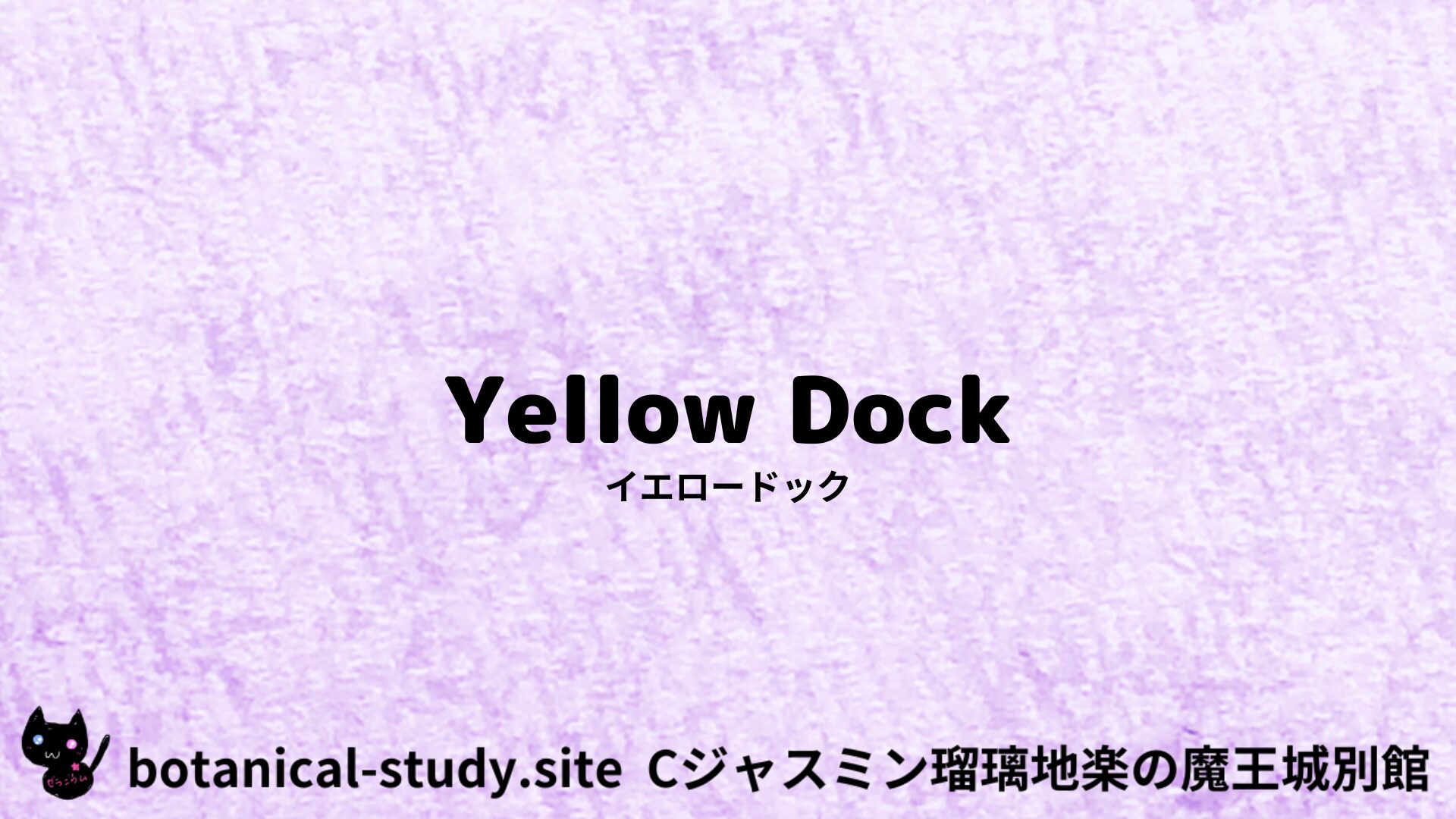 【別館】 yellow-dock-angustifolia-イエロードック/ハーブ/アイキャッチ＠botanical-study.site