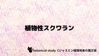植物性スクワラン:プチ辞典クイズ
