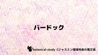 バードック：プチ辞典クイズ