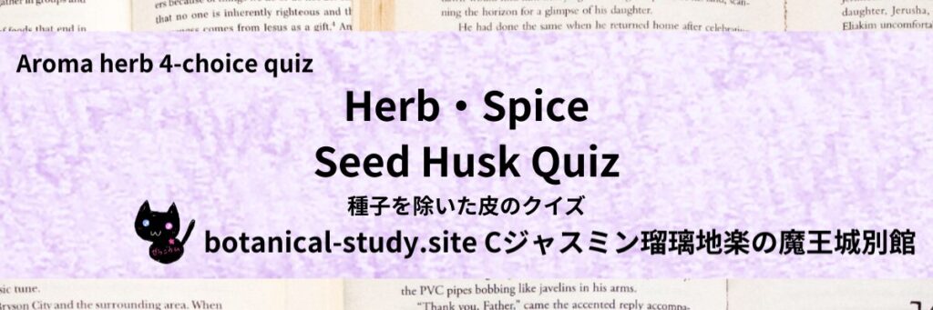 Quiz on Aromatic Classifications of Herb・Spice seed husk ハーブ・スパイスの種子を除いた皮のクイズ-botanical-study-site-gCJ.jpg