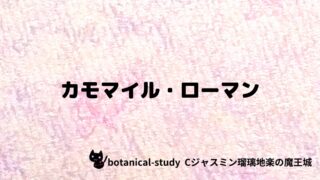 カモマイル・ローマン：プチ辞典クイズ