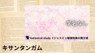 Xanthan Gum :Mini Dictionary キサンタンガム