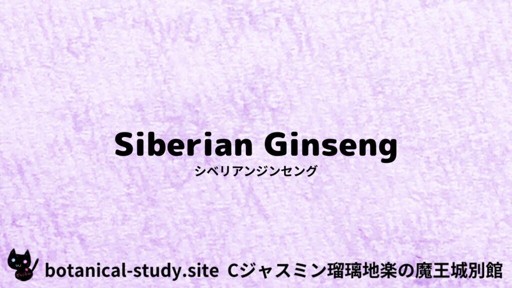 【別館】siberian-ginseng-シベリアンジンセング/ハーブ/アイキャッチ＠botanical-study.site
