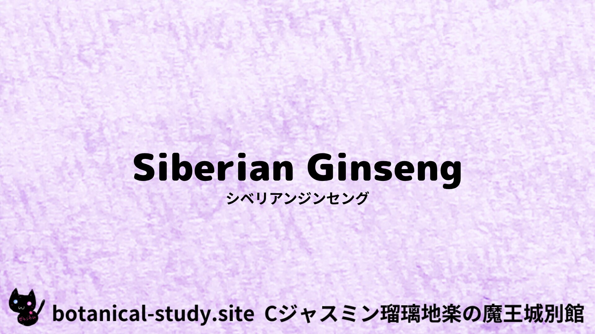 Siberian GinsengAloe：Mini Dictionary Quiz　シベリアンジンセング