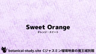 Sweet Orange:Mini Dictionary Quiz オレンジ・スイート