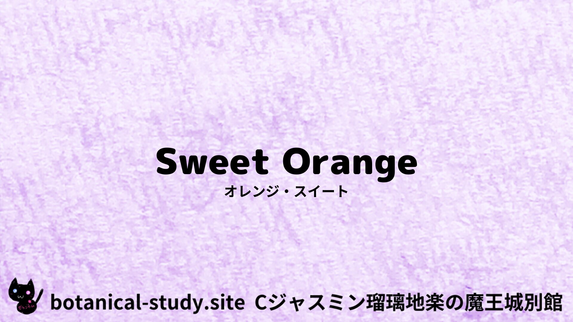 【別館】orange-sweet-オレンジ・スイート/アイキャッチ＠botanical-study.site