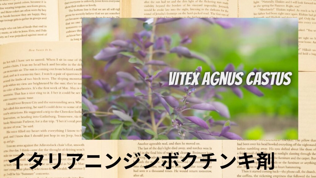 【別館画像】italian-carrot-tincture-イタリアニンジンボクチンキ剤/アイキャッチ＠botanical-study.site