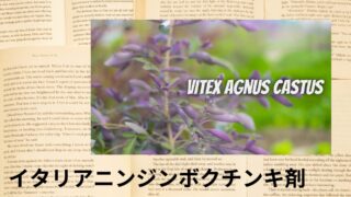 Italian Chaste Tree Tincture:Mini Dictionary イタリアニンジンボクチンキ剤