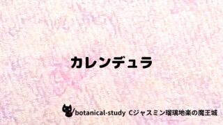 カレンデュラ：プチ辞典クイズ