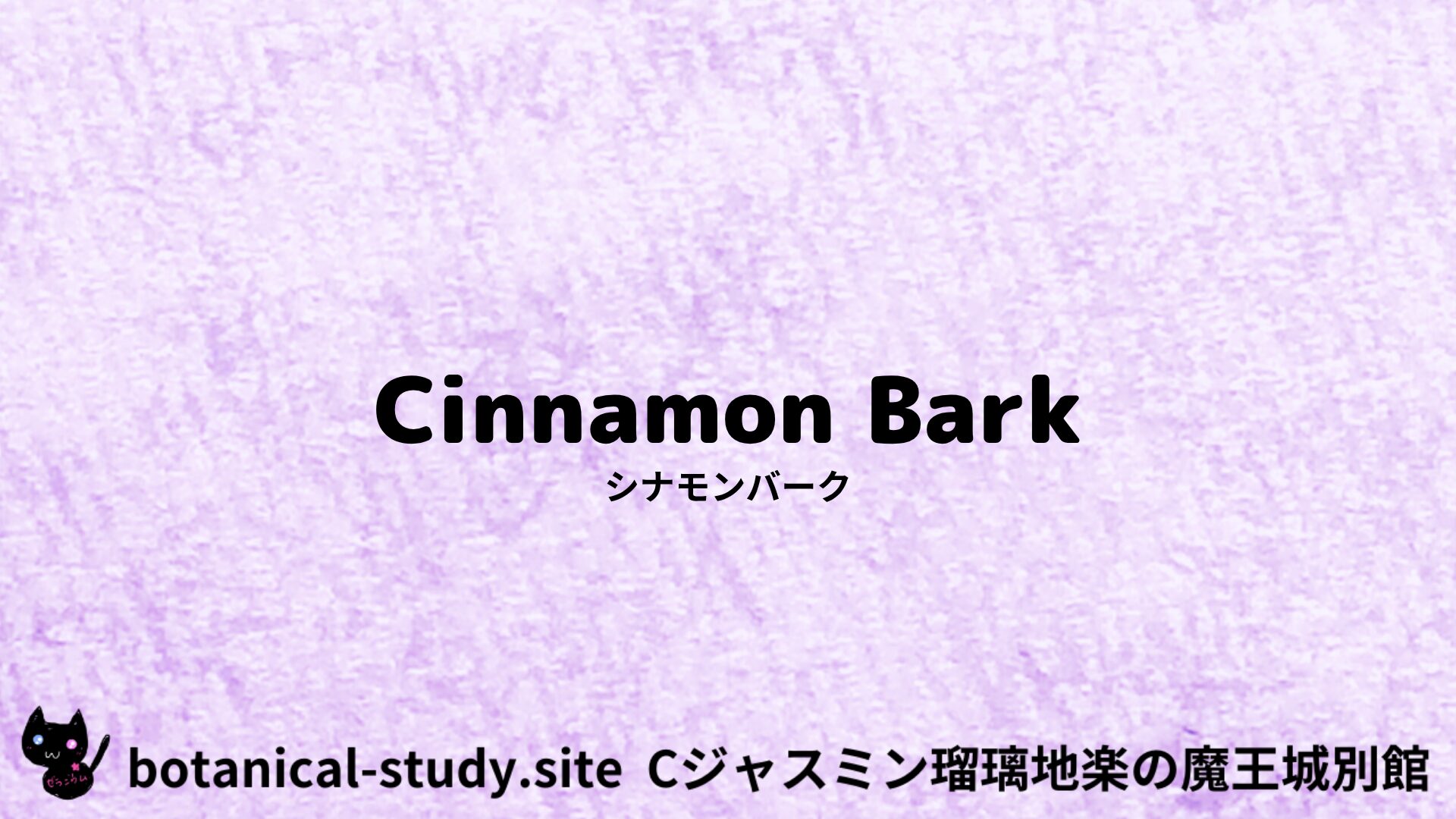 【別館】cinnamon-bark-シナモンバーク/ハーブ/アイキャッチ＠botanical-study.site
