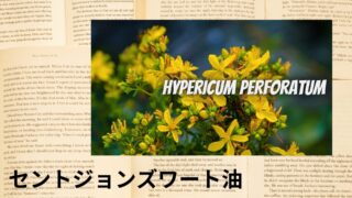 St. John’s Wort Oil：Mini Dictionary　セントジョンズワート油