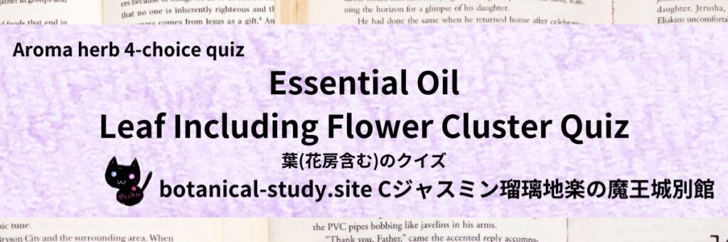 Quiz on Aromatic Classifications of Essential Oils leaf including flower cluster アロマエッセンシャルオイルの葉(花房含む)のクイズ-botanical-study-site-gCJ.jpg